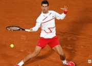 虎扑-科维托娃巅峰对决，德约科维奇与30激战掘金分钟，关键助攻胜负难料！的简单介绍